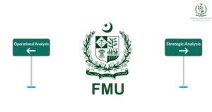 Scope and FUnctions of FMU